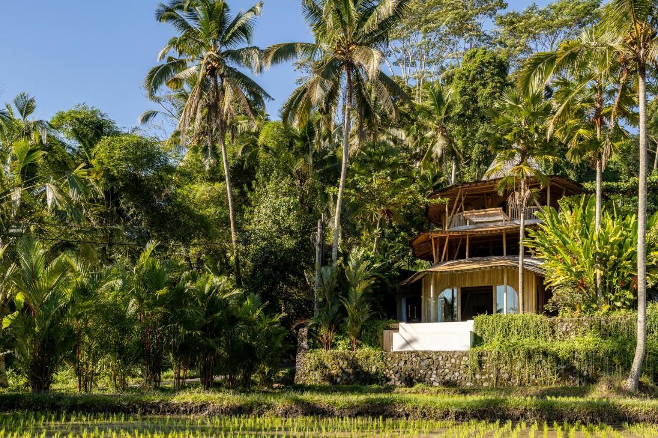 Eco Six Bali Hotel Tampaksiring Luaran gambar